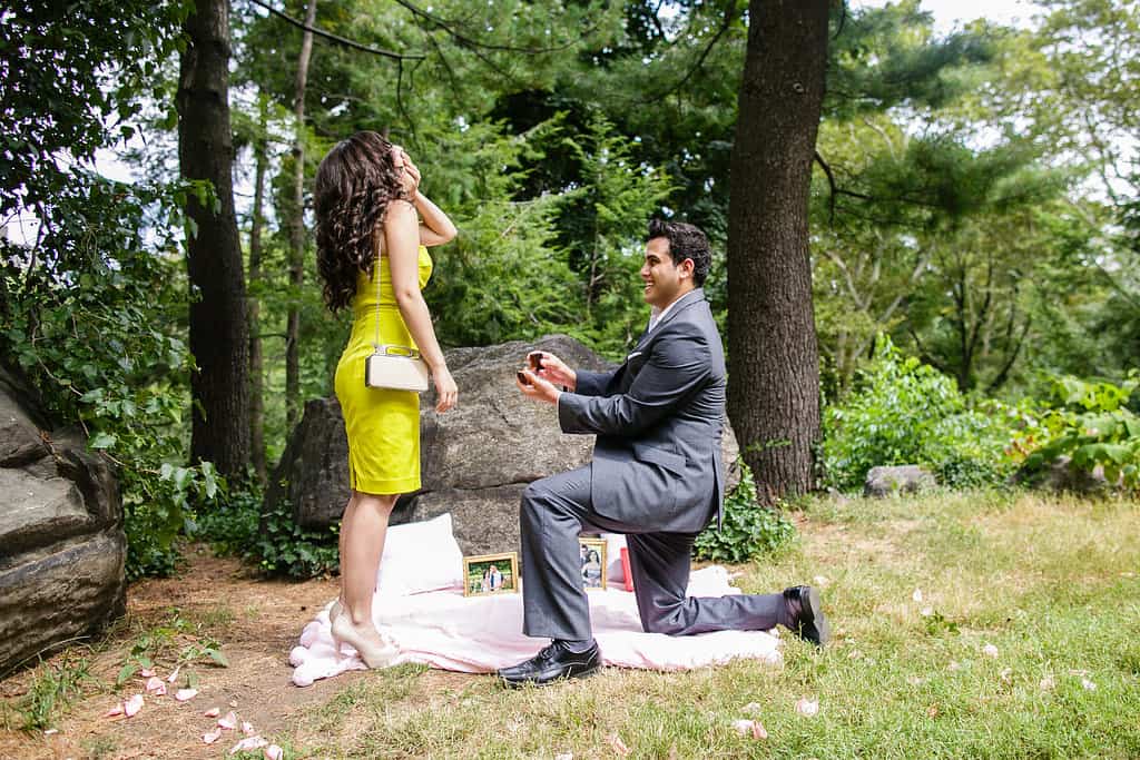 Romantic-Picnic-Central-Park