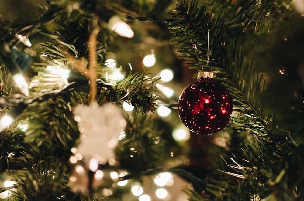 New York Christmas Tree Proposal Idea