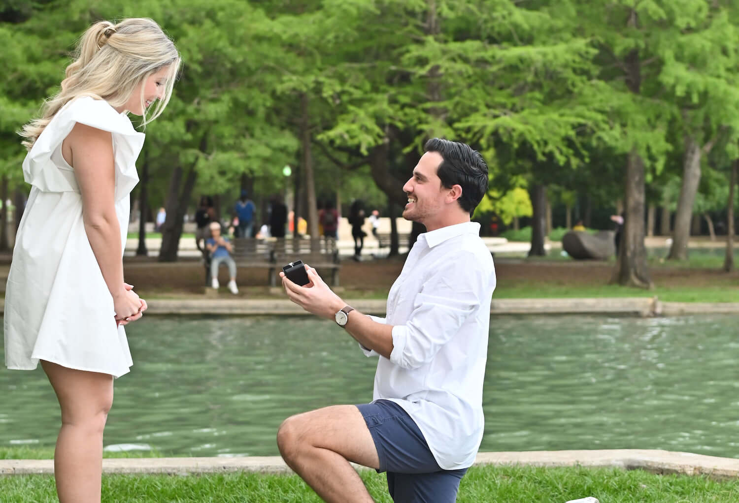 romantic places in houston to propose