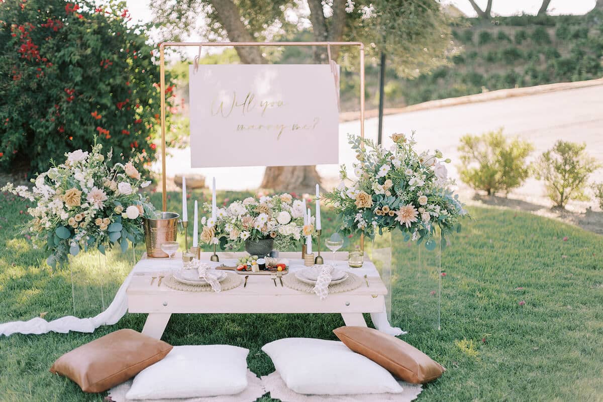 temecula-luxury-picnic-proposal-idea-1.jpg