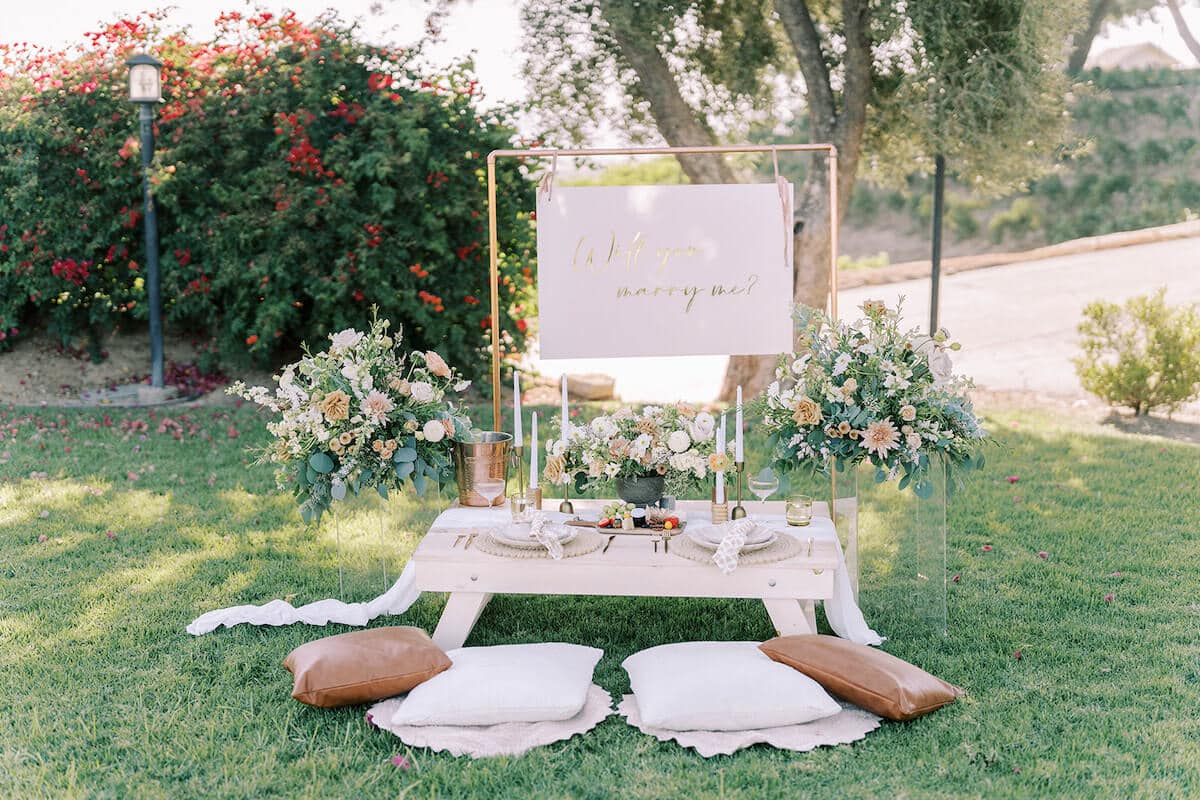 temecula-luxury-picnic-proposal-idea-2.jpg