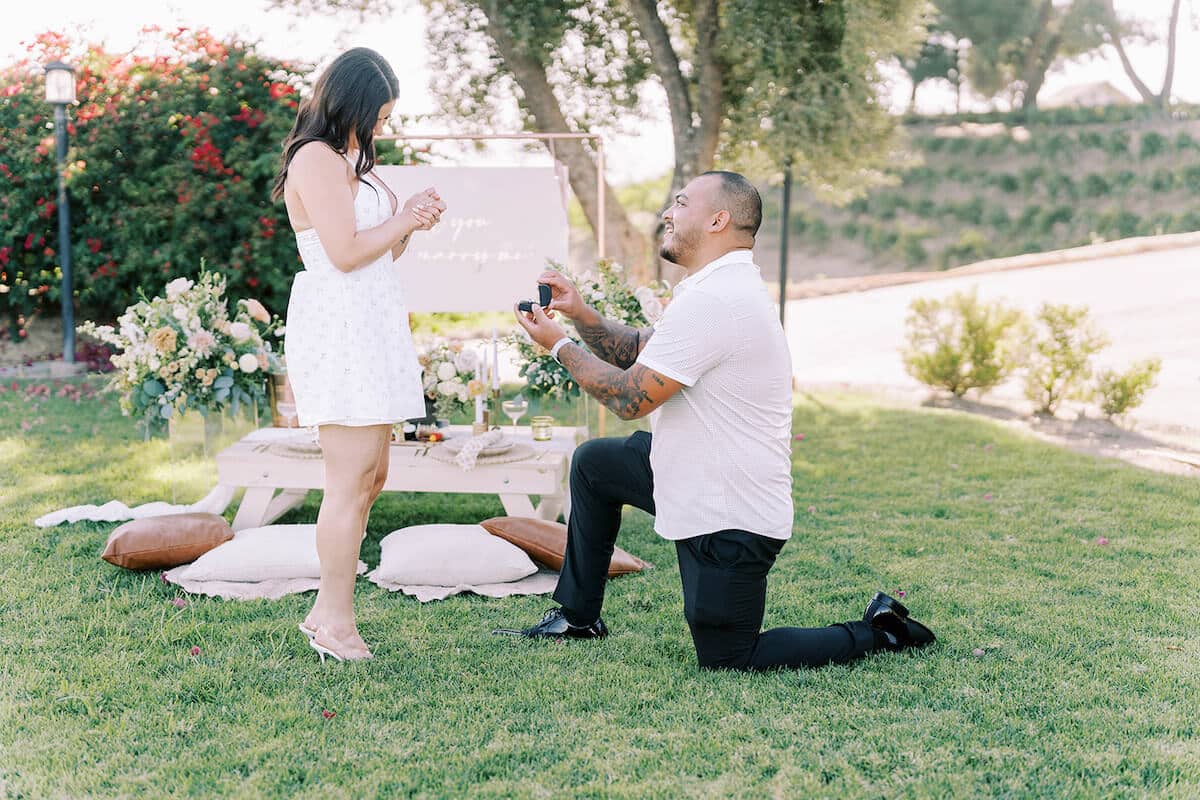 temecula-luxury-picnic-proposal-idea-3.jpg