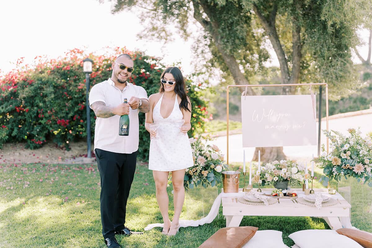 temecula-luxury-picnic-proposal-idea-4.jpg